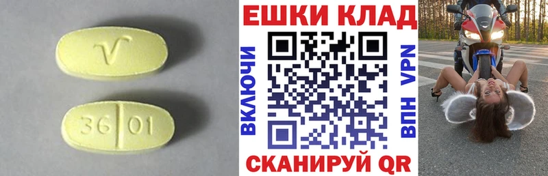 Ecstasy Philipp Plein  blacksprut маркетплейс  Пошехонье 