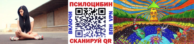 где продают наркотики  Пошехонье  Псилоцибиновые грибы GOLDEN TEACHER 