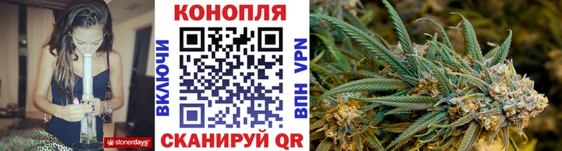сайты даркнета какой сайт  МЕГА   Бошки Шишки гибрид  Пошехонье  где продают  
